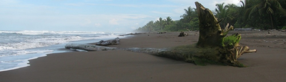 Breathtaking beaches and a rich wildlife Tortuguero, Costa Rica